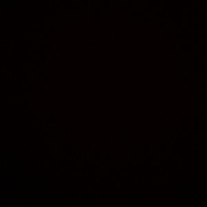 Meet your Posher, Andy